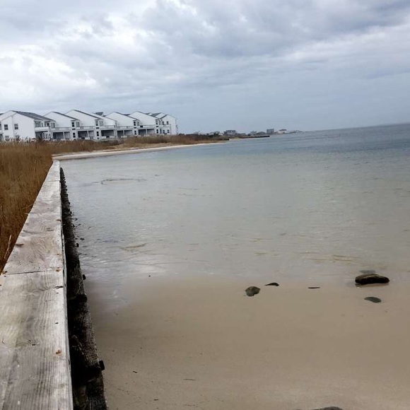 Meet your Posher, Claudia - Picture 1 of 1